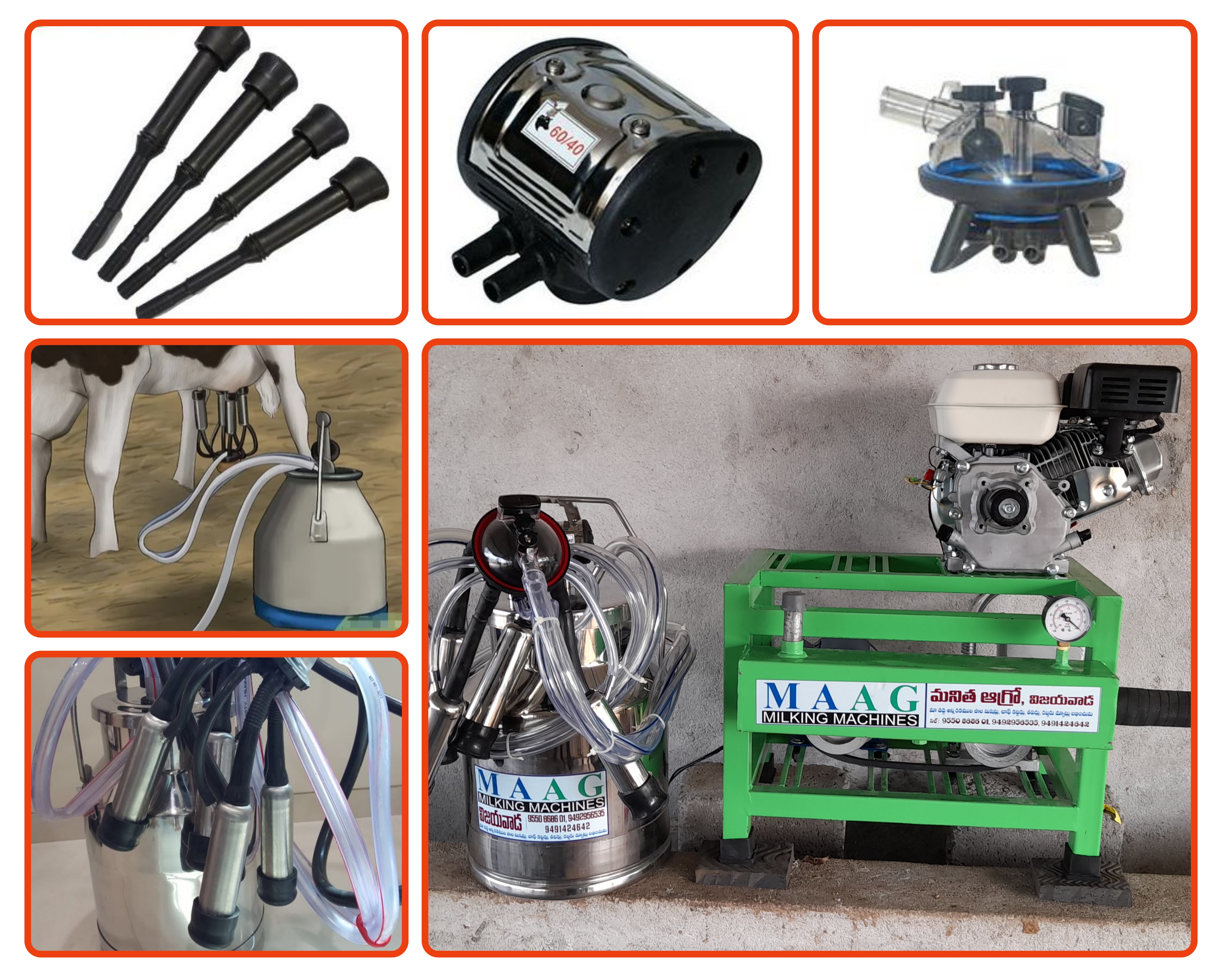 Milking Spare 2